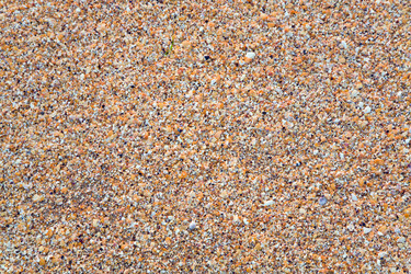 Similar image 450539