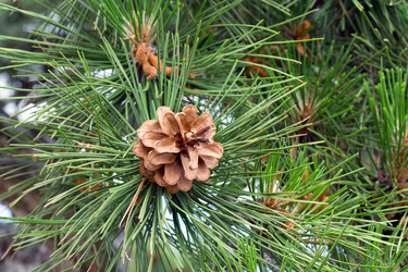 Similar image 450546