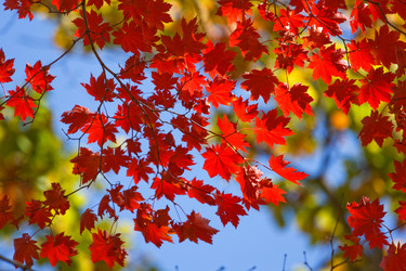 Similar image 450568