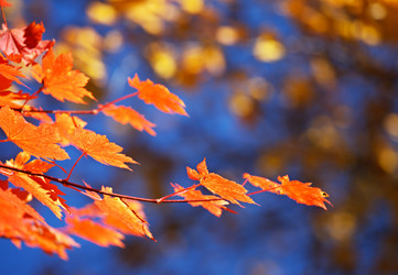 Similar image 450571