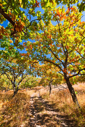 Similar image 450579