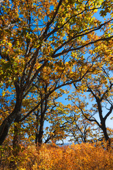 Similar image 450582