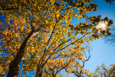 Similar image 450584