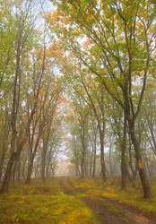 Similar image 450587