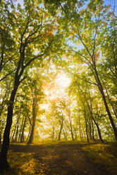 Similar image 450590