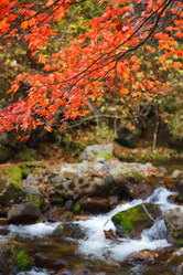 Similar image 450601