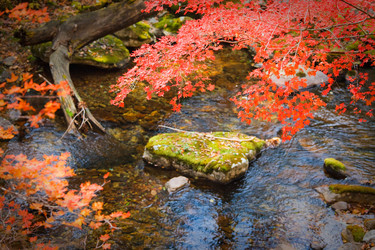 Similar image 450629