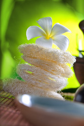 Similar image 450635