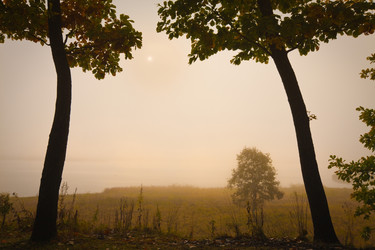 Similar image 450641