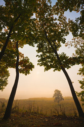 Similar image 450645