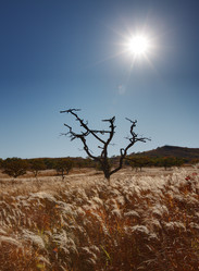 Similar image 450651