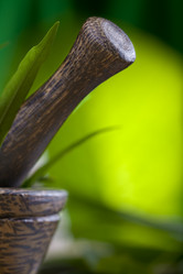 Similar image 450653