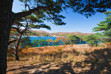 Similar image 450661