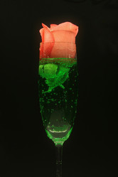 Similar image 450714