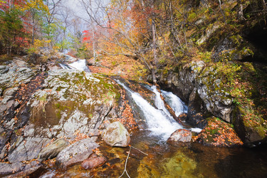 Similar image 450880