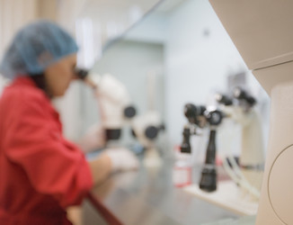 Similar image 450924