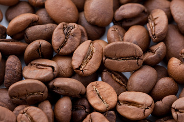 Similar image 450939