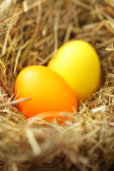 Similar image 451017