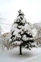 Similar image 451352