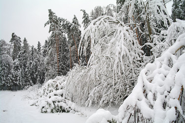 Similar image 451385