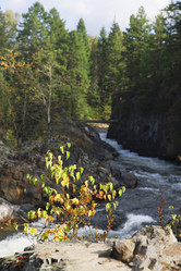 Similar image 451394