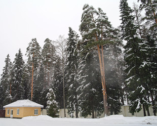 Similar image 451400