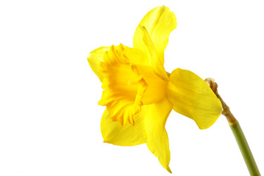 Similar image 451404