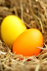 Similar image 451482