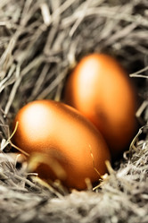 Similar image 451484