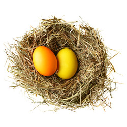 Similar image 451489