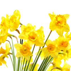 Similar image 451490