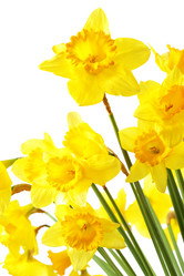 Similar image 451493