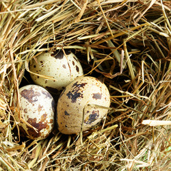 Similar image 451496