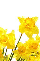 Similar image 451507