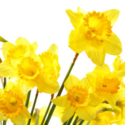 Similar image 451509