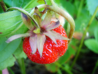 Similar image 451538