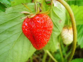 Similar image 451542