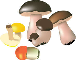 Similar image 451596