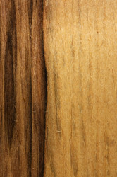 Similar image 451695