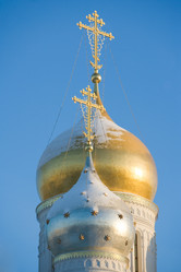 Similar image 451862