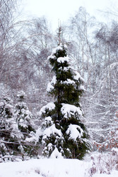 Similar image 451880