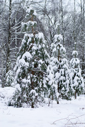 Similar image 451882