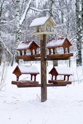 Similar image 451906