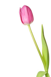 Similar image 451950