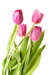 Similar image 451956