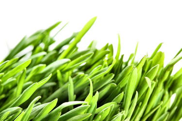 Similar image 451972