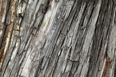 Similar image 452237