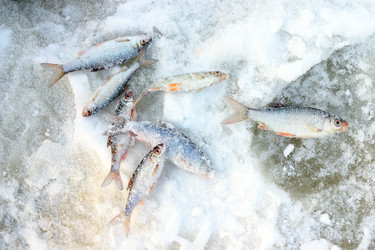 Similar image 452274