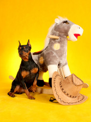 Similar image 452317