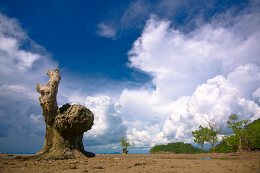 Similar image 452322